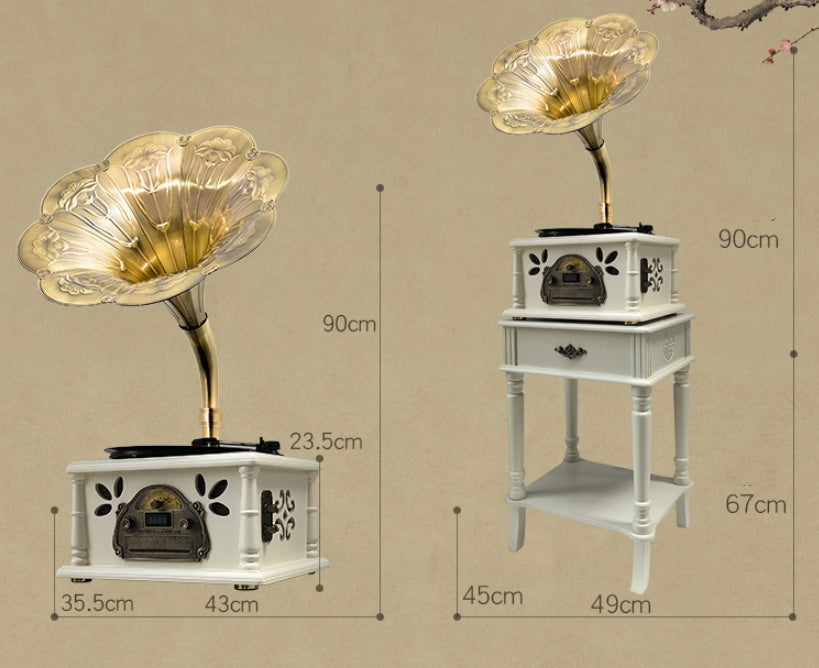 Vintage Phonograph Old Classical Living Room Tea Stereo