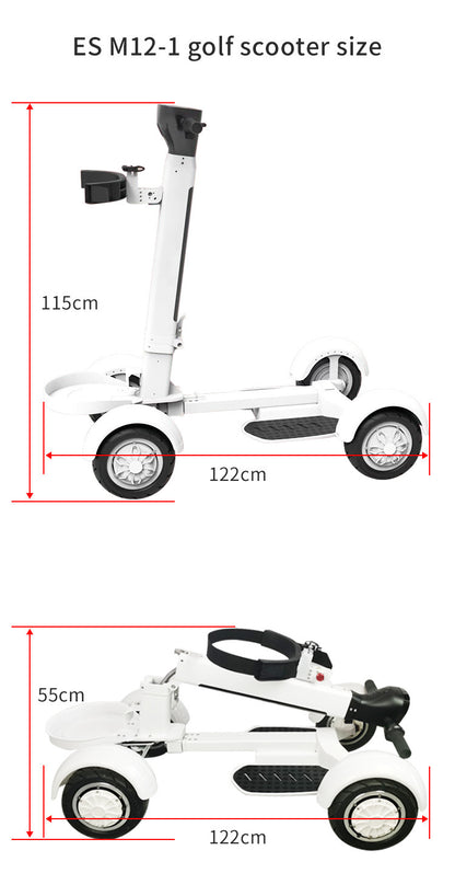 Vier Rad Golf Elektrische Klapp Licht Longboard Rasen Natürlich Roller