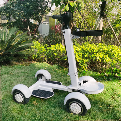 Vier Rad Golf Elektrische Klapp Licht Longboard Rasen Natürlich Roller